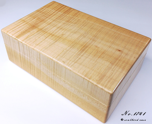 カーリーメイプル10本用時計ケース前面 1741