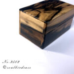 soulbird-3503