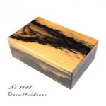 soulbird-1888
