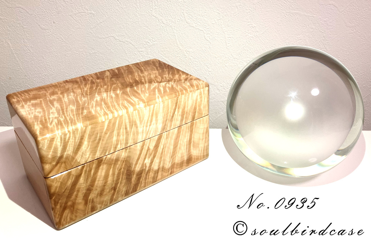 カーリートチ3本用時計ケース