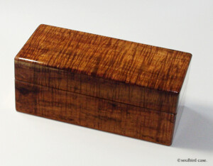 4本用 ハワイアンブラックコア材 時計ケース