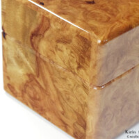 No.5849 右面 カリン材 5本用時計ケース