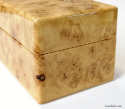 トチバール 右面 3本用時計ケース トチバール 右面 3本用時計ケース