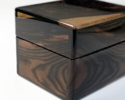 Case for two ebony stripes, left side 縞黒檀2本用ケース 左面