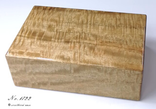 時計ケース ハワイアンマンゴー材10本用 正面