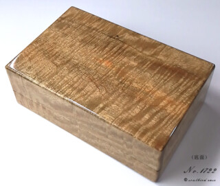 時計ケース ハワイアンマンゴー材10本用 底面