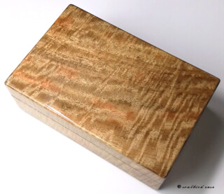 1727 ハワイアンマンゴー10本用時計ケース 天板