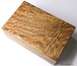 1727 Hawaiian Mango Clock Case for 10 Mangoes—Top Panel