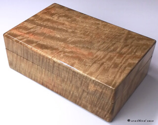 1727 ハワイアンマンゴー10本用時計ケース 前面