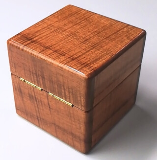 0743 ハワイアンコア1本用時計ケース 後ろ面