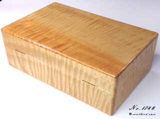 No.1746-トチ10本用時計ケース 後面