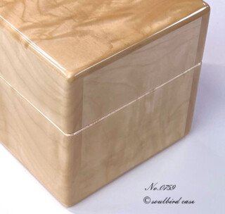 右面 トチ1本用時計ケース