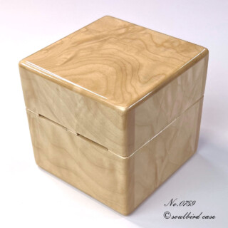 背面 トチ1本用時計ケース