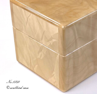 左面 トチ1本用時計ケース