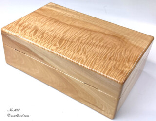 背面 トチカーリー 10本用時計ケース